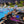Ama Pool Session