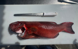 Ama Spearfishing Workshop
