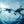 Two divers underwater with speargun and fins