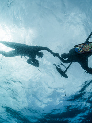 spearfishers fist bump safety course taken by cindy at sea
