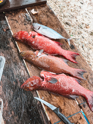 Ama Spearfishing Workshop